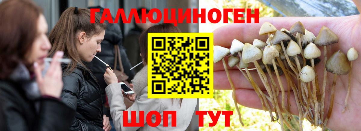 Шадринск  Псилоцибиновые грибы мухоморы  Вход с VPN  Псилоцибиновые грибы GOLDEN TEACHER 