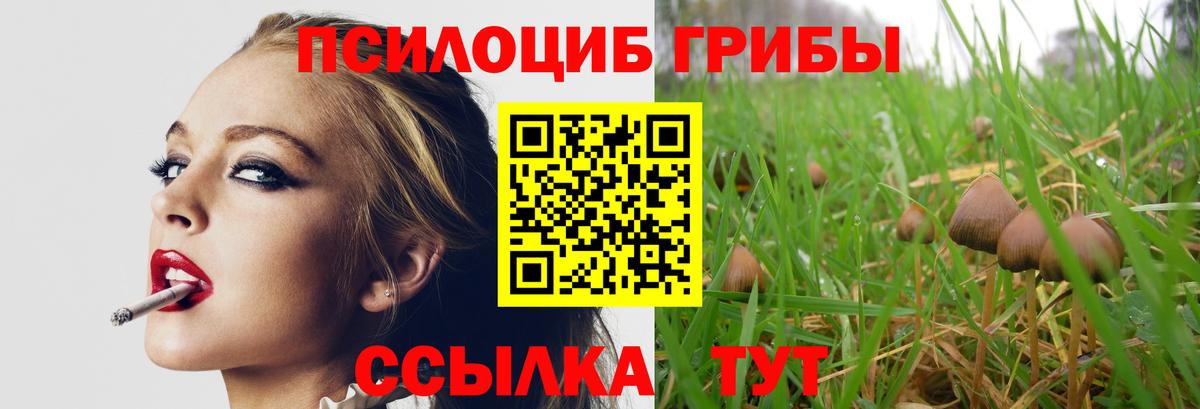 Галлюциногенные грибы мицелий Шадринск