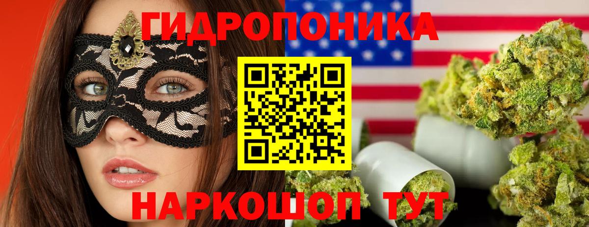 Конопля OG Kush  Вход с VPN  Каннабис семена  Шишки марихуана OG Kush  Бошки Шишки ГИДРОПОН  Шадринск 